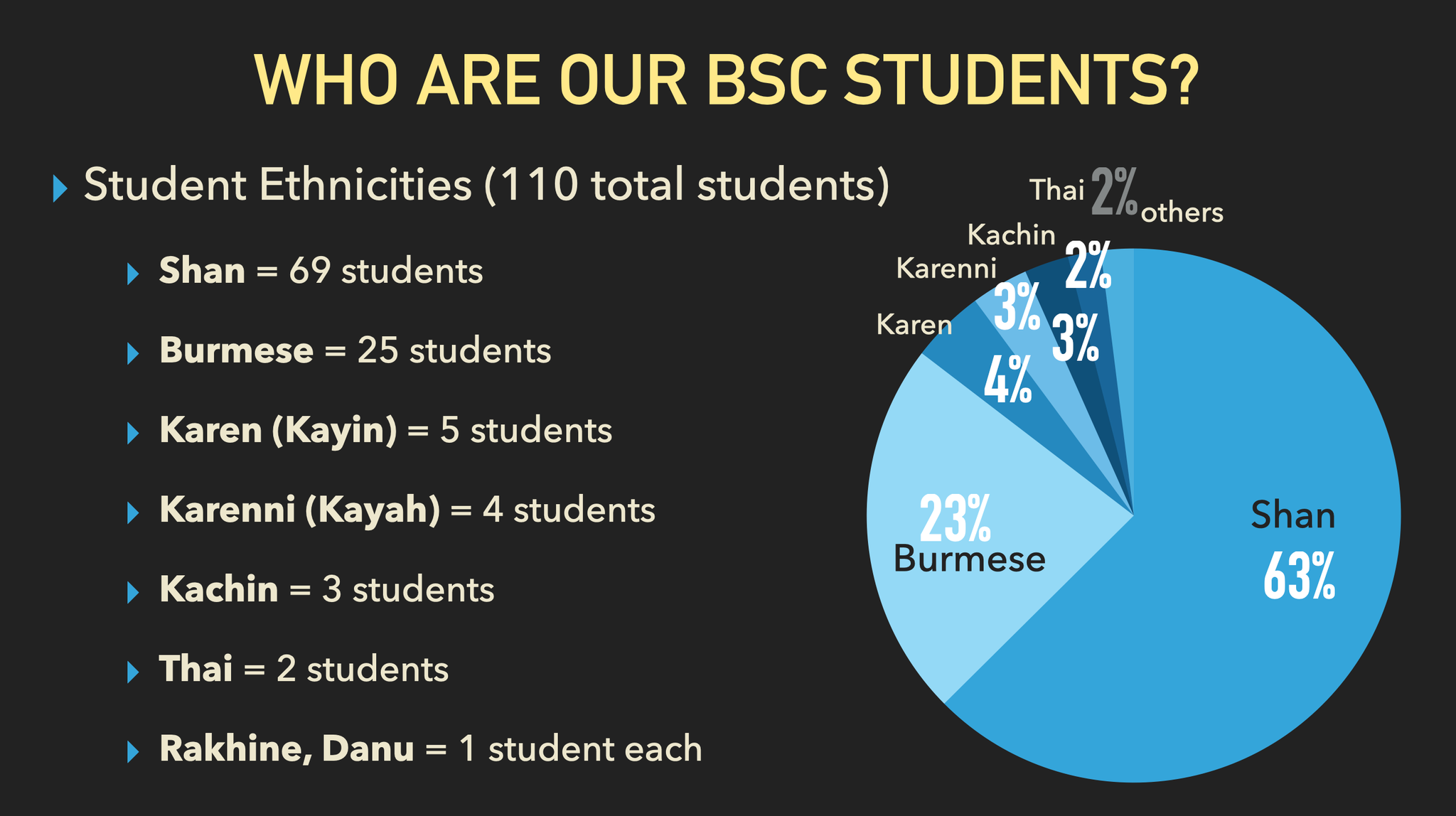 ethnicity stats