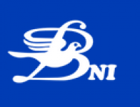 Image of Burma News International [website]